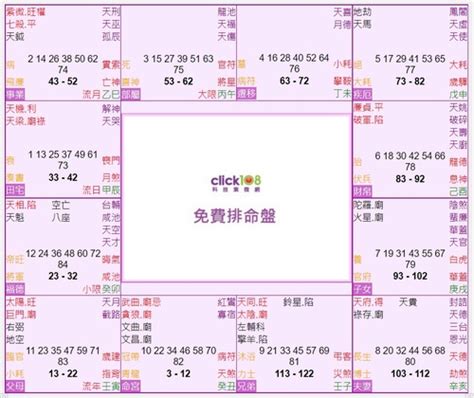 紫微斗數十二宮|紫微宮位